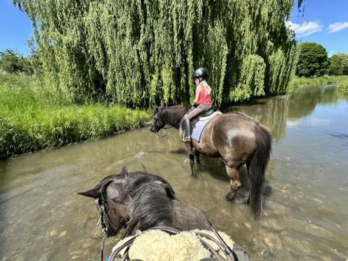 Mit den Pferden im Wasser