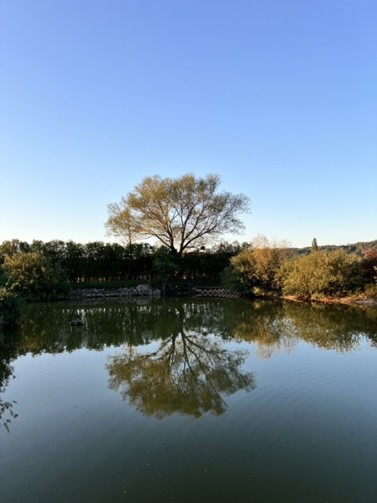 NaturBaden am Wasser
