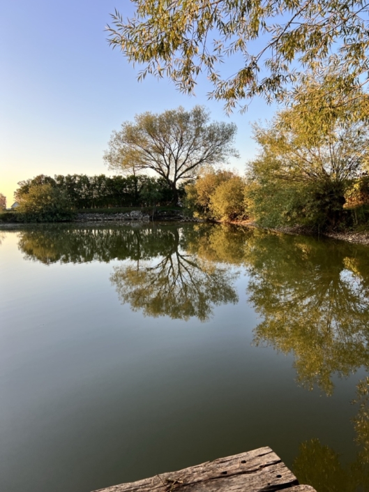 NaturBaden am Wasser 2